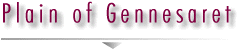 Plain_of_Gennesaret
