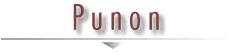 Punon