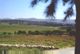 samaria_hill_country_5.jpg (10162 bytes)