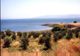 sea_of_galilee_4.jpg (9811 bytes)