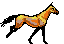 HORSE2.GIF